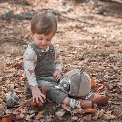 Dinosaur Organic Muslin Top + Corduroy Overall Set