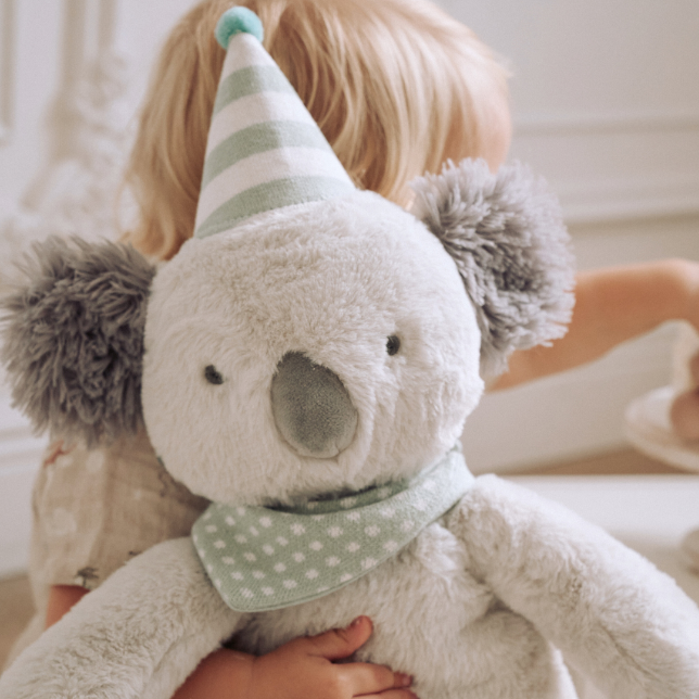 Aqua Birthday Bedtime Huggie Accessories