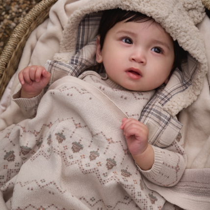 Acorn Fairisle Knit Baby Blanket