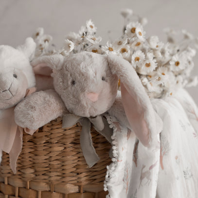 Luxury Baby Toys