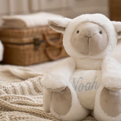 Personalized Baby Plush Toys
