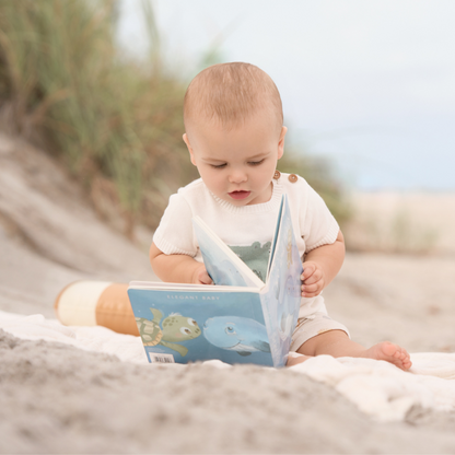 An Ocean Adventure Board Book