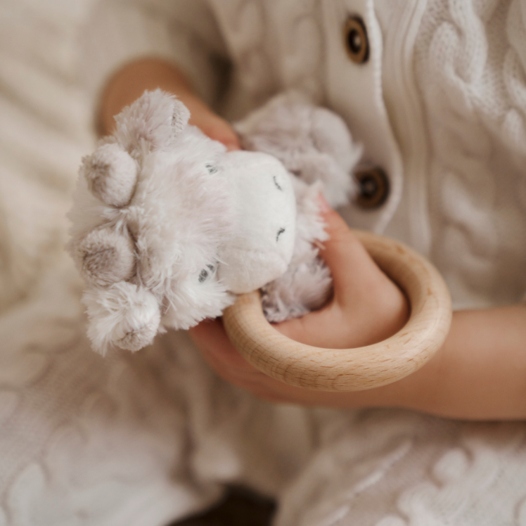 Plush Giraffe Wooden Ring Rattle