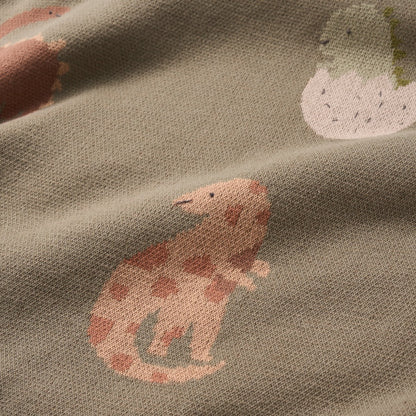 Dinosaur Cotton Knit Baby Blanket