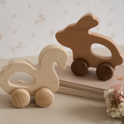 Wooden Push Toy Bunny