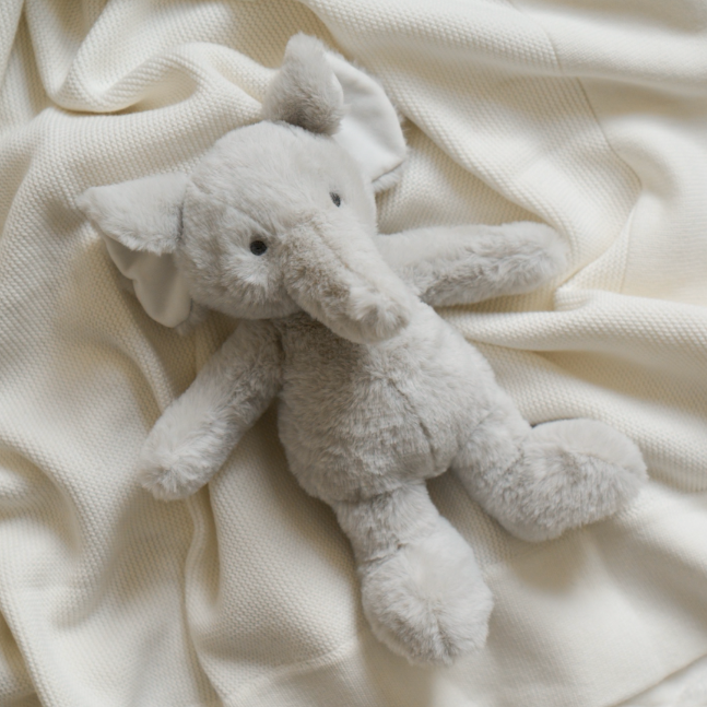 Elephant 9