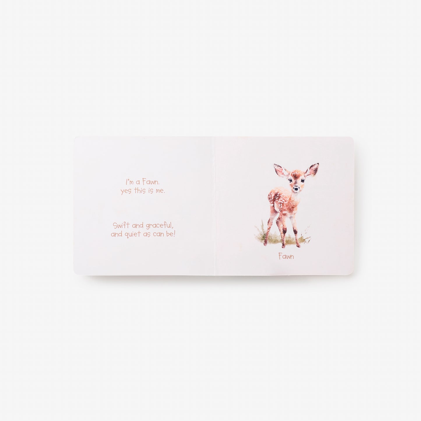 Little Wonders Forest Board Book
