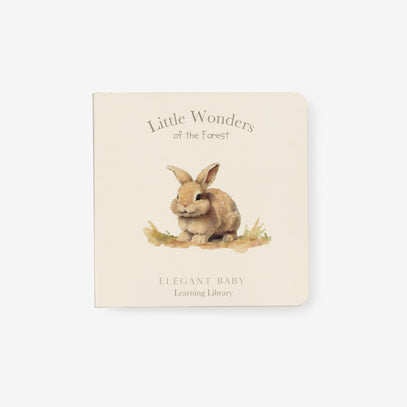 Little Wonders Forest Board Book
