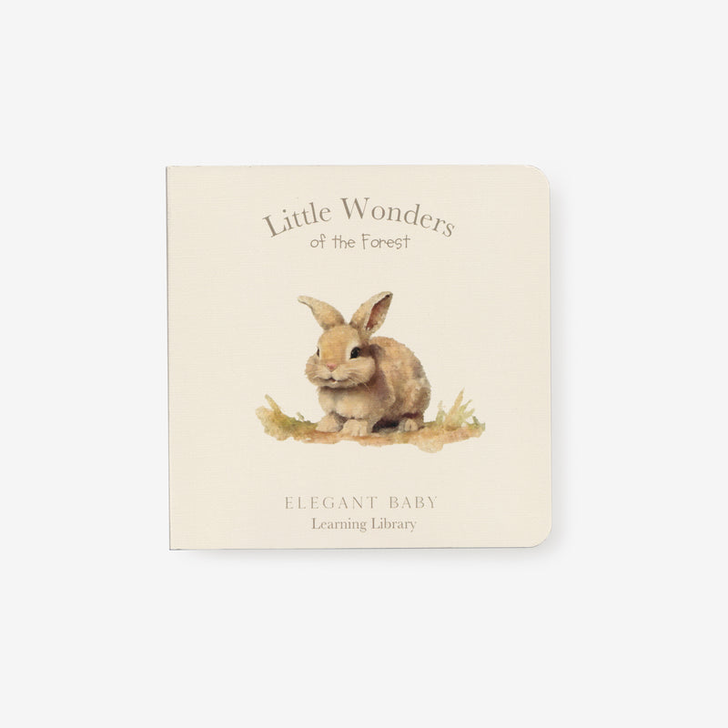 Little Wonders Forest Board Book