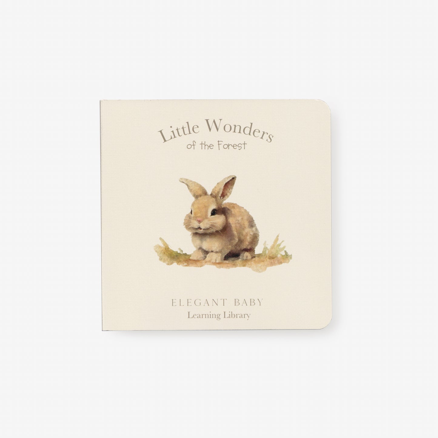 Little Wonders Forest Board Book