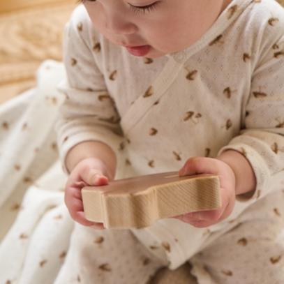 Forest Forager Organic Cotton Pointelle Layette 2PC Set