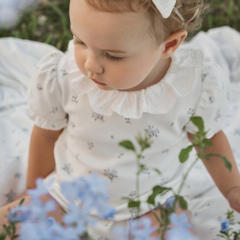 English Rose Double Knit Eyelet Lace Collar Bubble