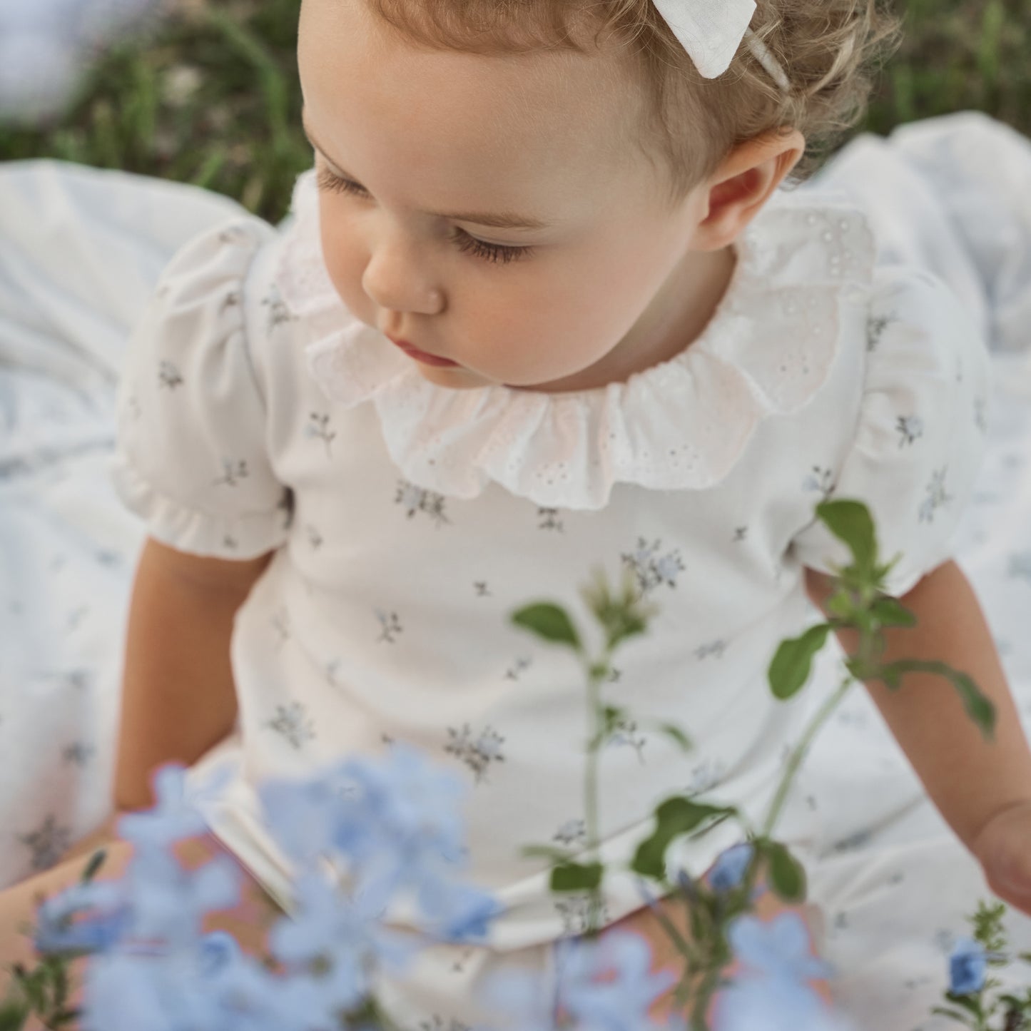 English Rose Double Knit Eyelet Lace Collar Bubble